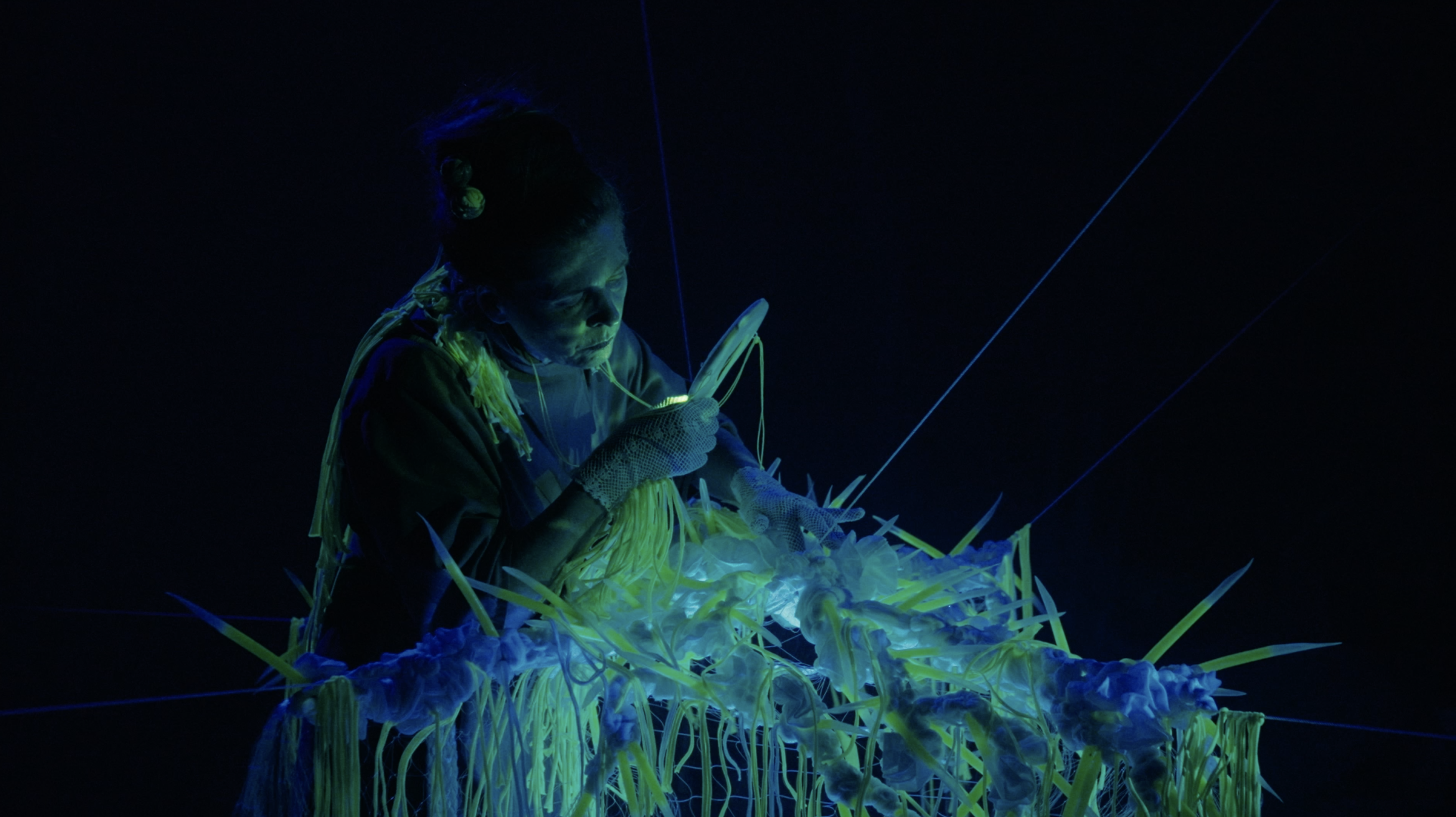 Vagus Symphony / Flökkusinfónía